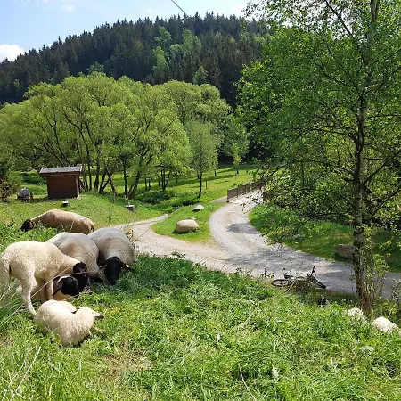 Apartment Ferienbungalow Zum Brocken *