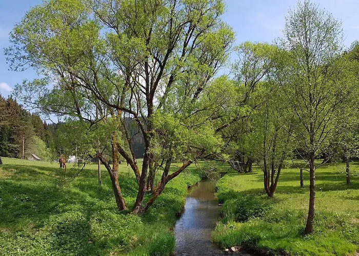 Апартаменты Ferienbungalow 