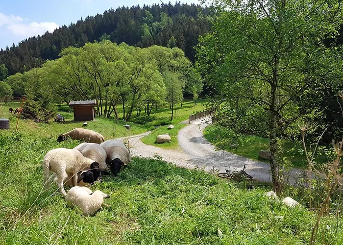 Апартаменты Ferienbungalow 